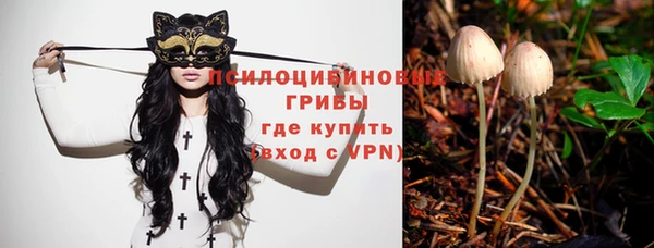 индика Коряжма