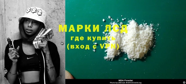 индика Коряжма
