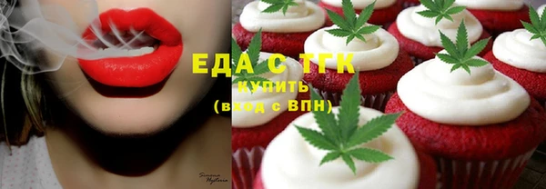 индика Коряжма