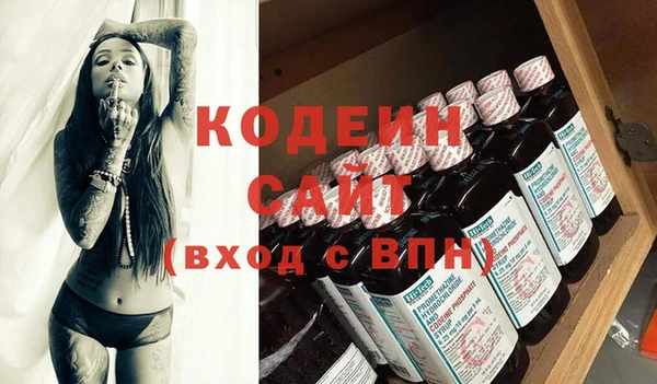 индика Коряжма
