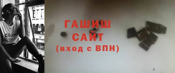 индика Коряжма