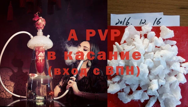 индика Коряжма