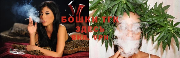 индика Коряжма