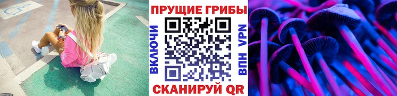 Купить закладки  Хабаровск  Галлюциногенные грибы Magic Shrooms 